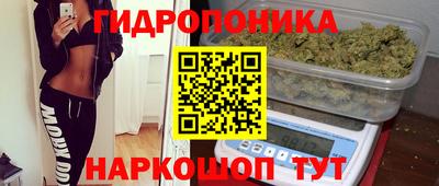 стафф Бугуруслан