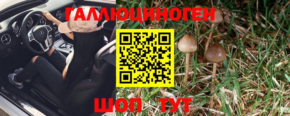Галлюциногенные грибы прущие грибы  Галлюциногенные грибы Psilocybe  Вход с VPN  Усть-Лабинск 